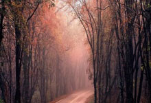 竞彩足球葡萄牙vs法国该怎么分析?这场比赛有哪些看点和投注建议?