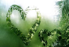 哪里能看五星体育在线直播高清无插件？